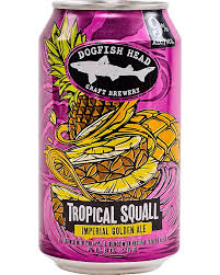 Dogfish Tropical Squall Imperial Golden Ale 24 pack/12 oz cans