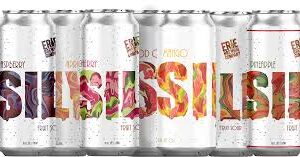 Erie Silly Sour 24 pack/16 oz cans